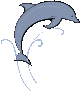 dolphin dolphin